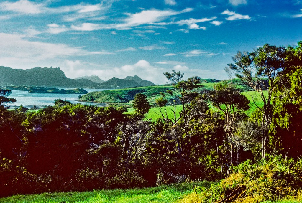 View of Whangarei Heads, Matapouri, NZ