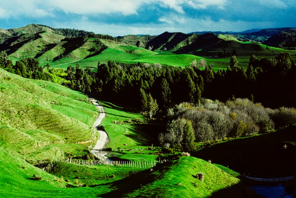 Pitt-Brown Farm, Waikato, NZ
