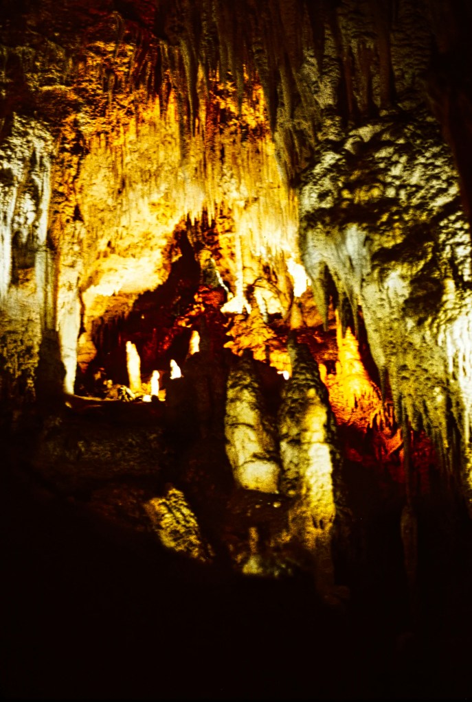 Stalactite Scene, Waitomo Caves, NZ