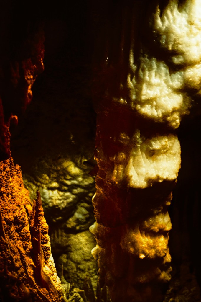 Stalactites, Waitomo Caves, NZ