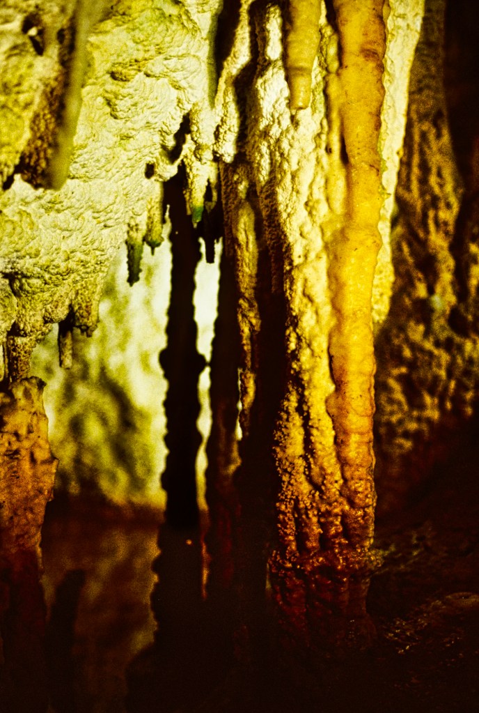 Straw Tubes, Waitomo Caves, NZ