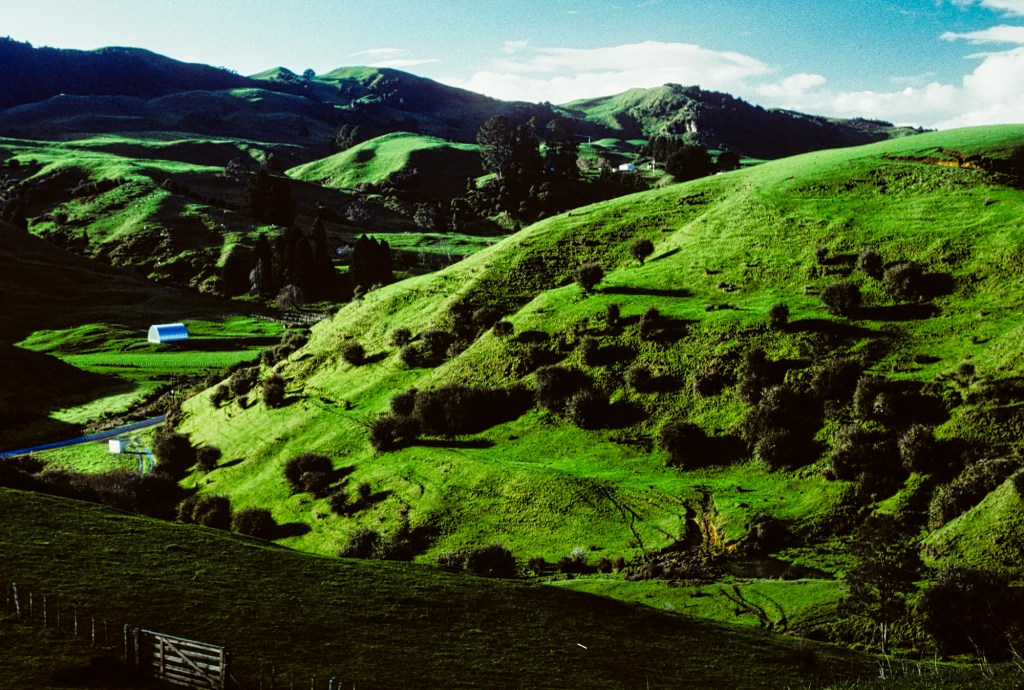 Pitt-Brown Farm, Waikato, NZ