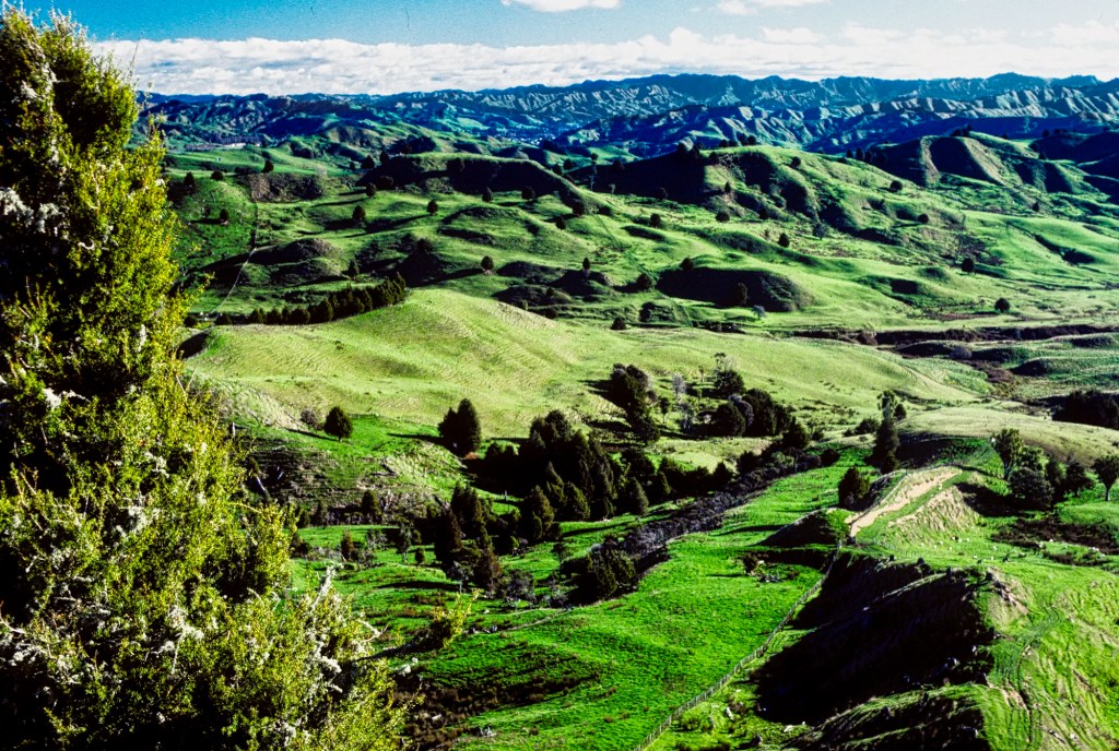 Farmland Vista, Taumarunui, NZ