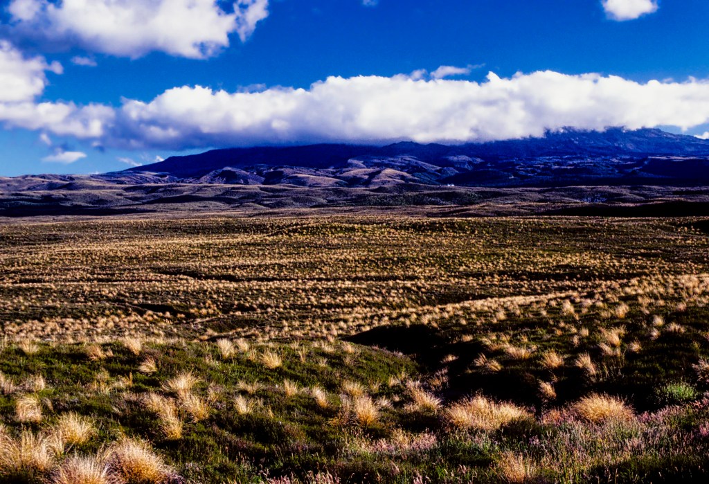 Mt. Tongariro from highway, Tongariro Trek, NZ