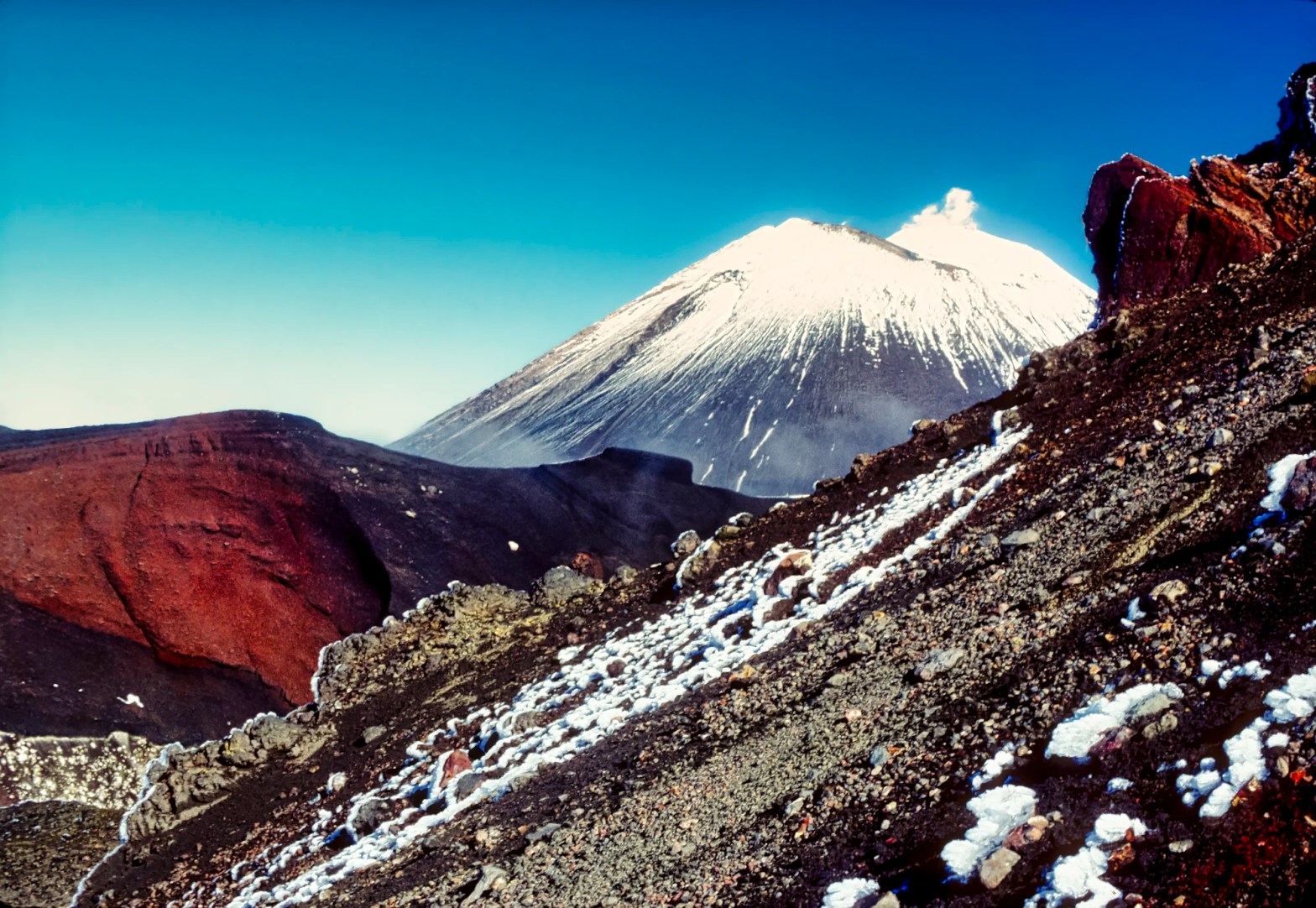 Experience NZ: Customized Itineraries for Every Traveller