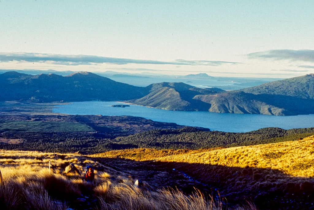 Lake Rotoaira View from Ketetahi, Tongariro Trek, NZ