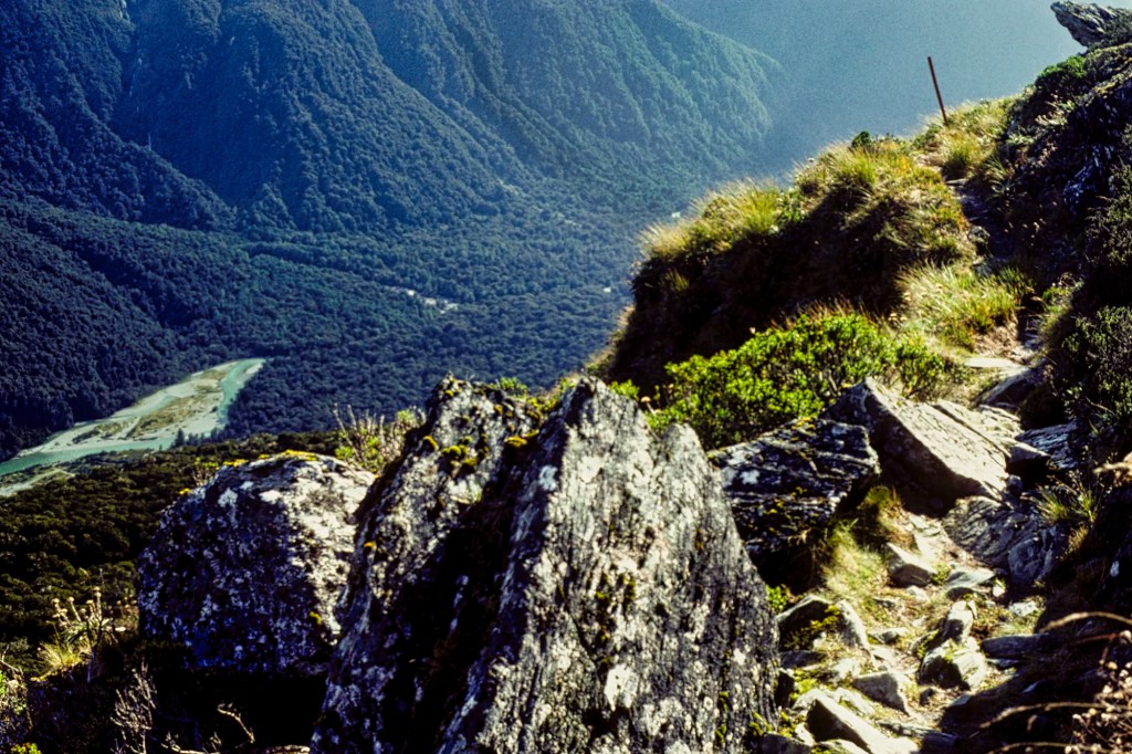10-12 Hollyford Valley Viewpoint, Routeburn Track, NZ