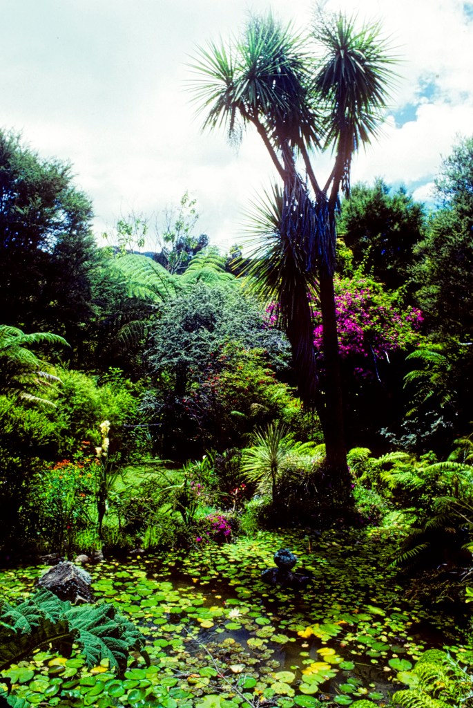 Rapaura Water Gardens, Coromandel, NZ