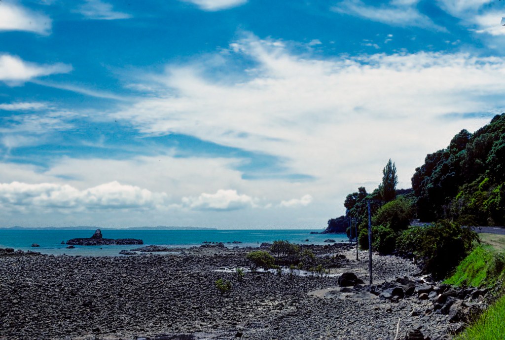Tapu Area, Coromandel Coast Road, NZ