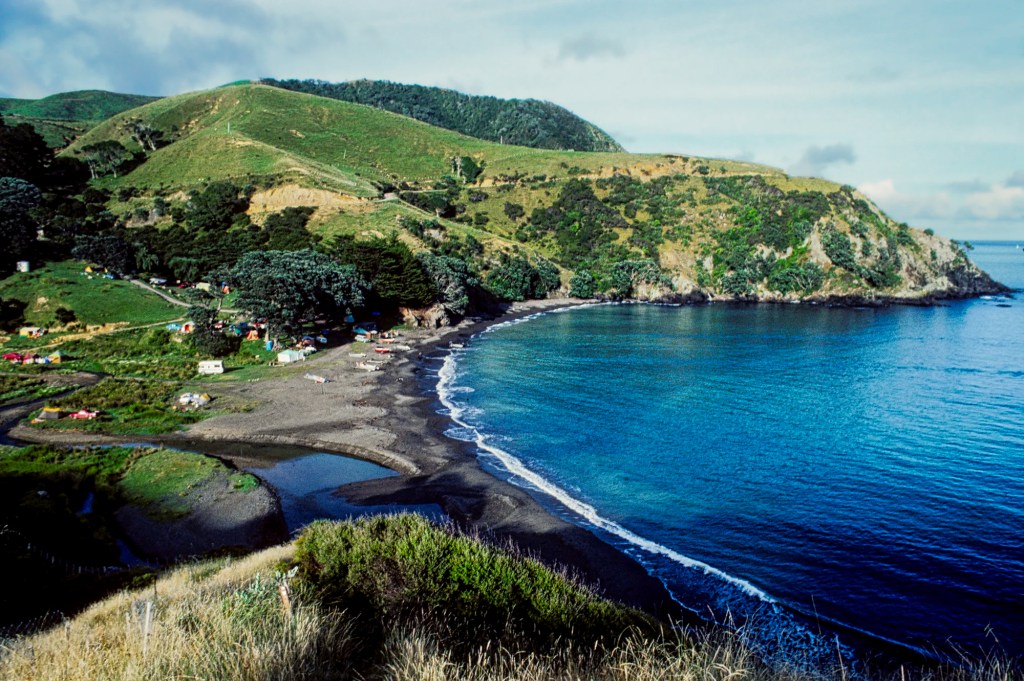 Fletcher Bay, Coastal Track, Coromandel, NZ