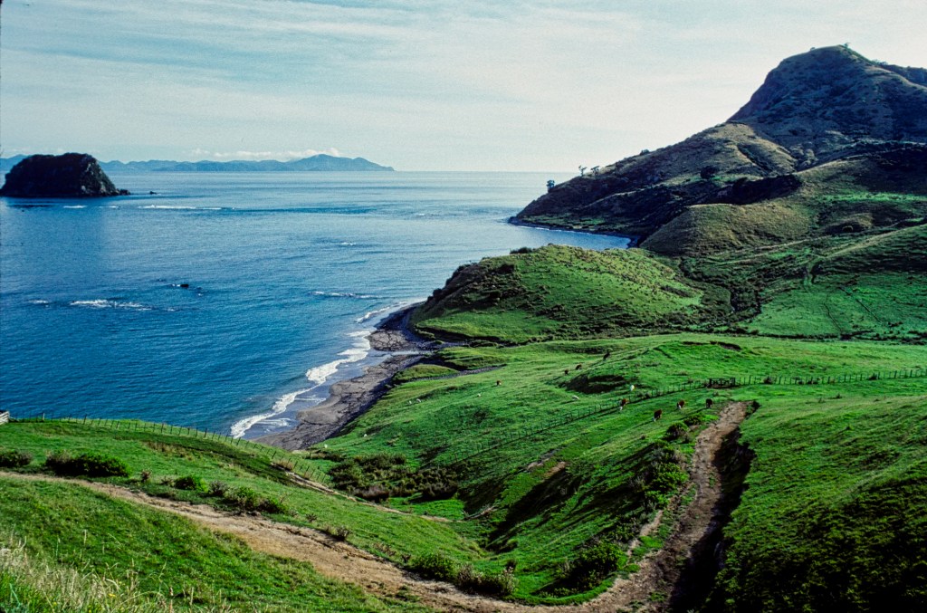 Fletcher Bay, Coastal Track, Coromandel, NZ