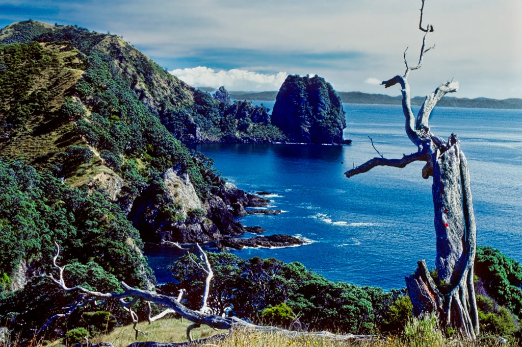 Sugar Loaf, Fletcher Bay Coastal Track, Coromandel, NZ