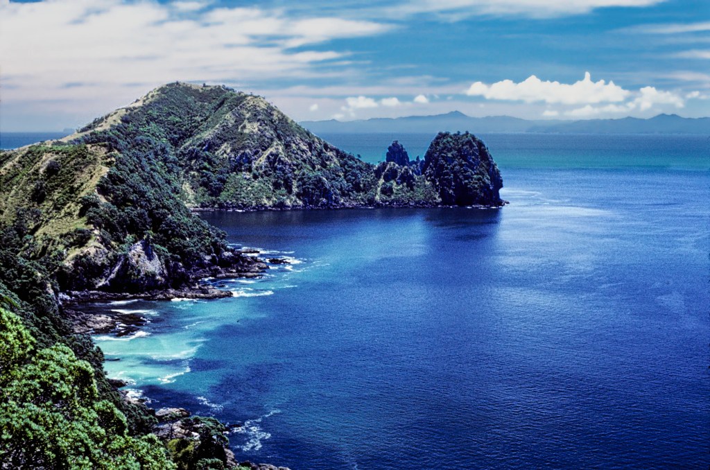 Fletcher Bay Coastal Track, Coromandel, NZ