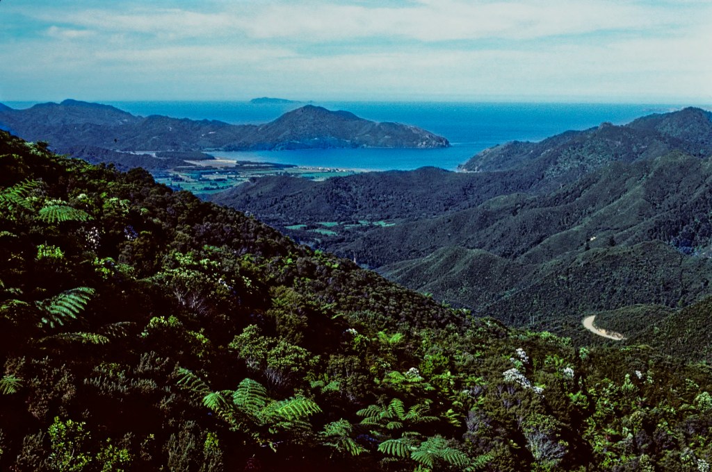 Coromandel Harbour, Tokatea Lookout Track, Coromandel, NZ