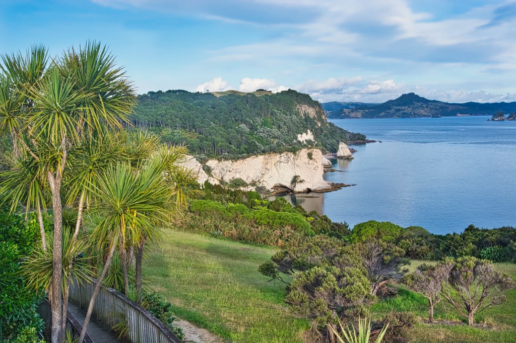 Cathedral Cove Viewpoint, Coromandel, NZ