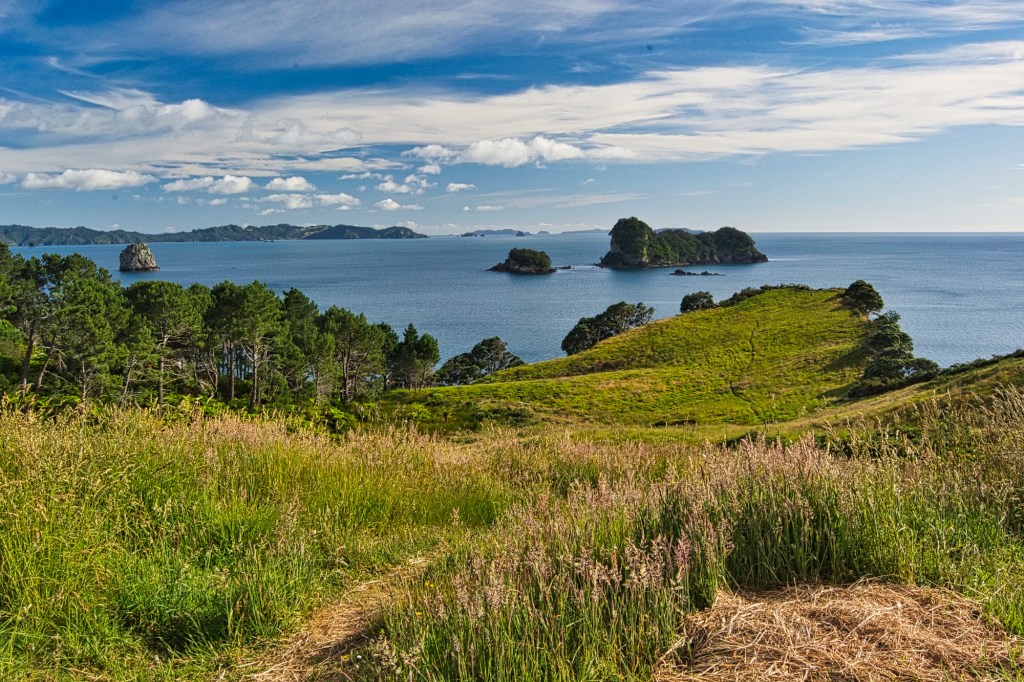 Cathedral Cove Viewpoint, Coromandel, NZ