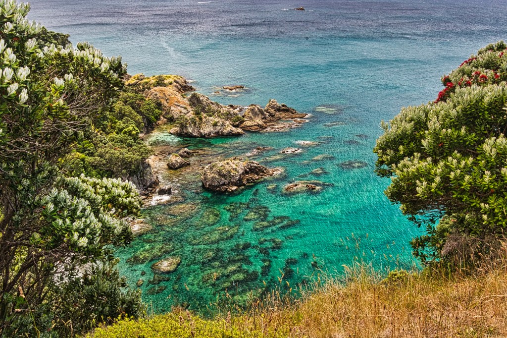 Fisherman's Bay, Tiritiri Matangi Island, NZ