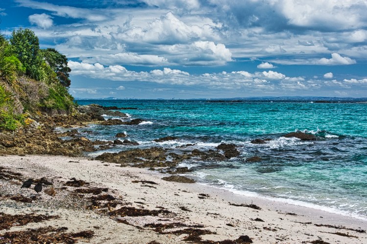 Hobbs Beach, Tiritiri Matangi Island, NZ