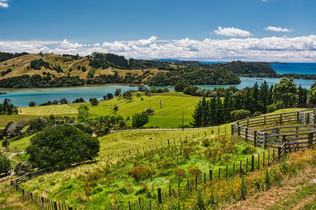 Road to Shakespear Regional Park, Auckland Region, NZ