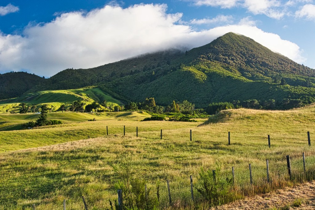 View from Highway 5 to Napier