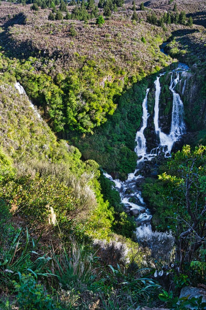 Waipunga Falls, Highway 5 to Napier, NZ