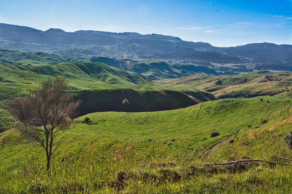 View from Highway 5 to Napier, NZ