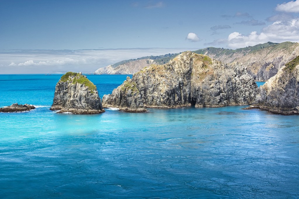 Ferry View, Wellington Harbour, NZ