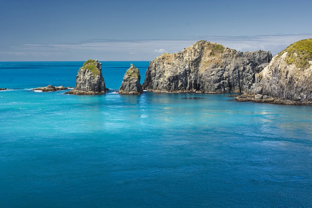 Ferry View, Wellington Harbour, NZ