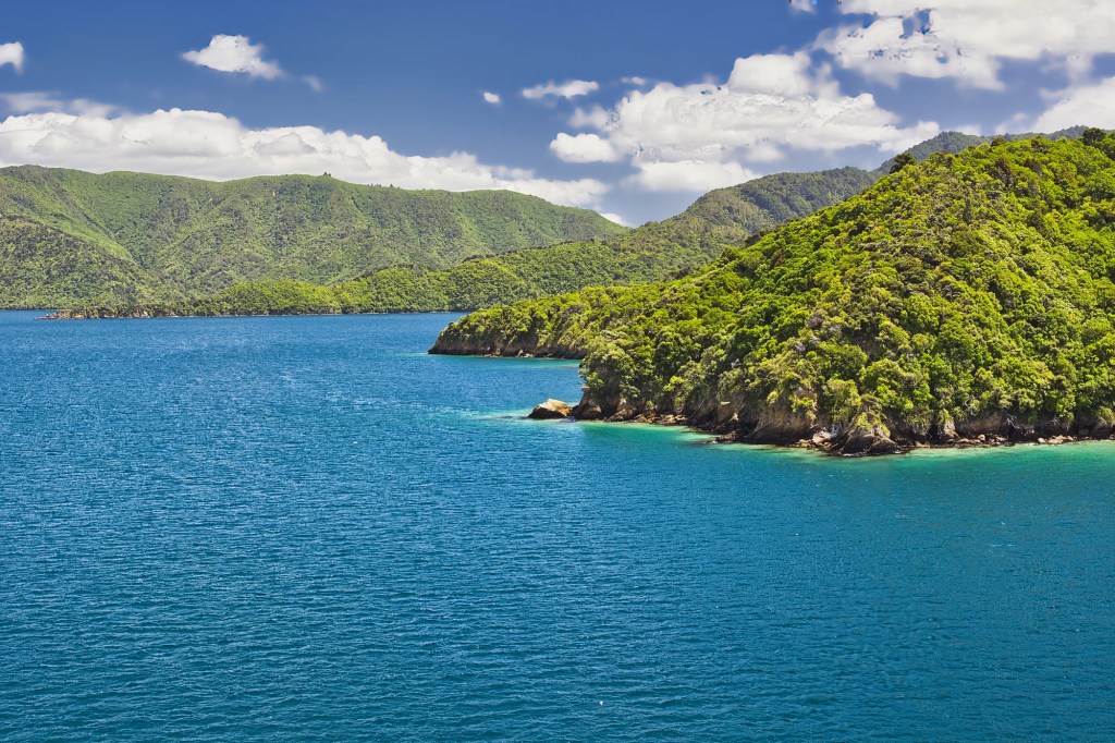 Ferry View, Queen Charlotte Sound, NZ