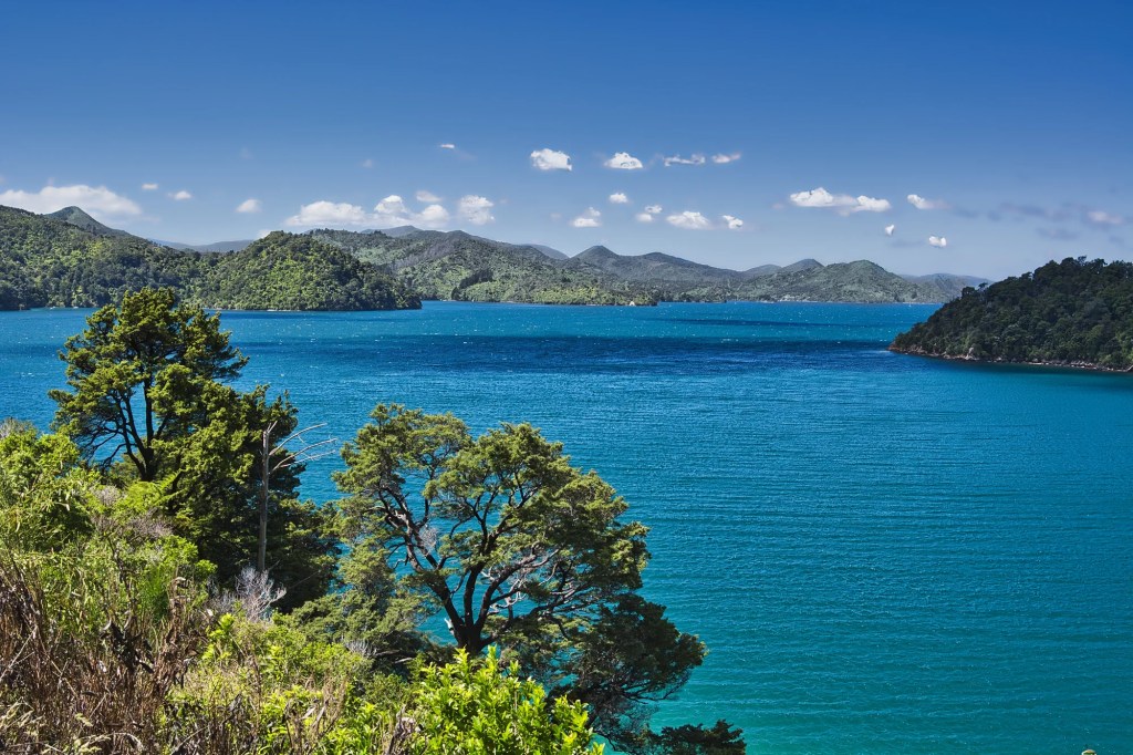 Ngakuta Bay View, Queen Charlotte Drive, NZ