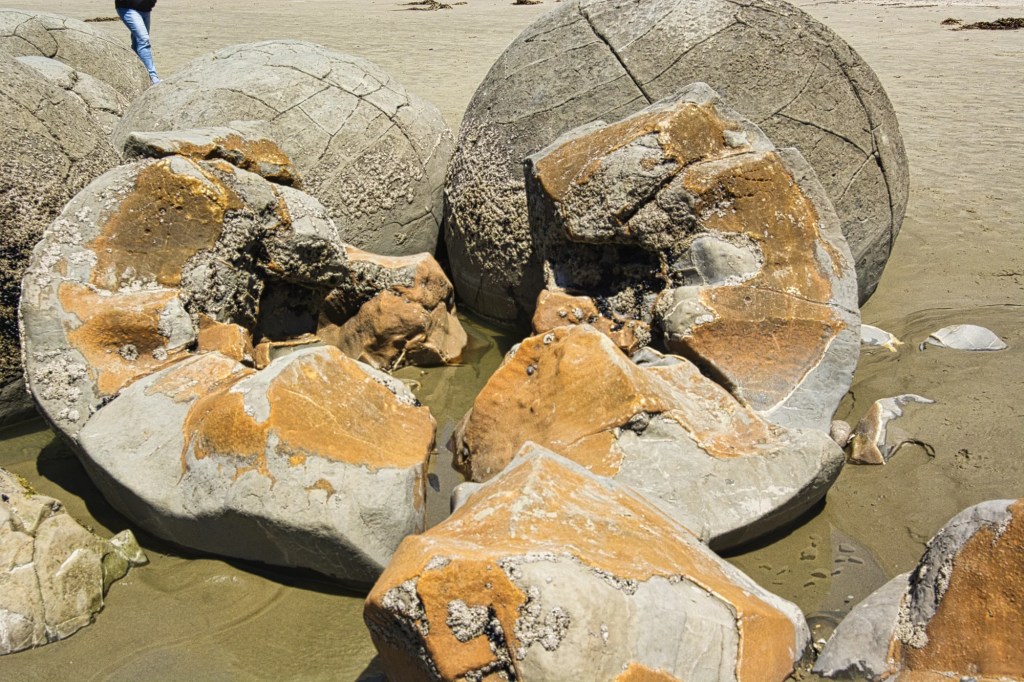 Cracked Moeraki Boulders, Moeraki, NZ