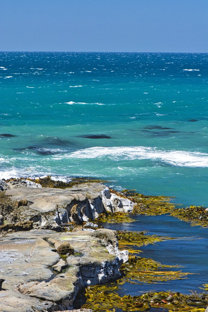 Turquoise Coastline, Moeraki, NZ