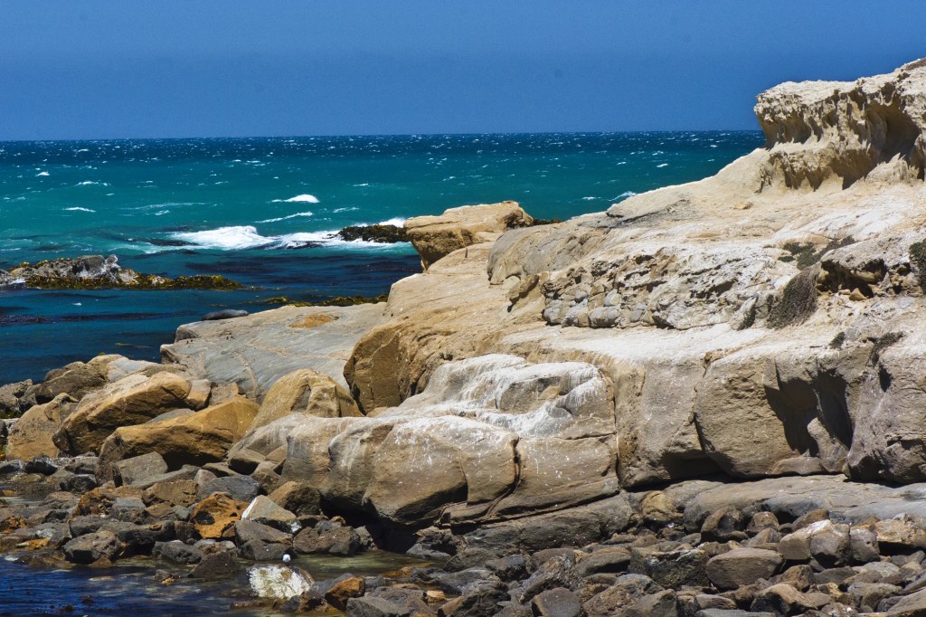 Turquoise Coastline, Shag Point, NZ