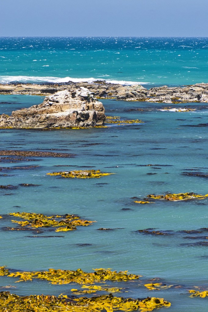 Turquoise Coastline, Shag Point, NZ