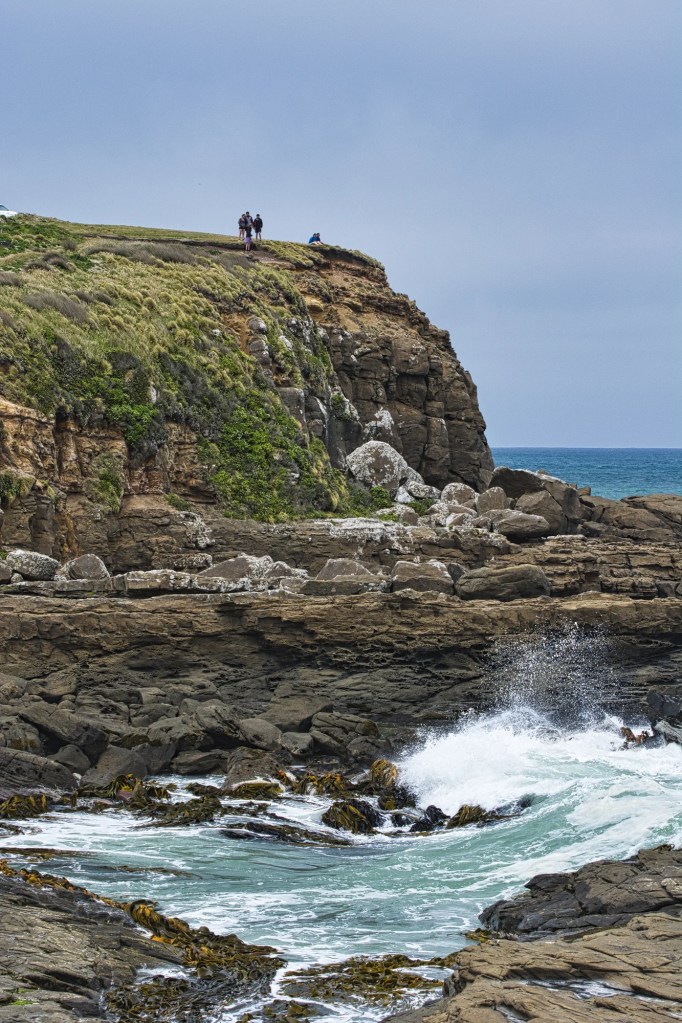 Curio Bay Cliffs, NZ