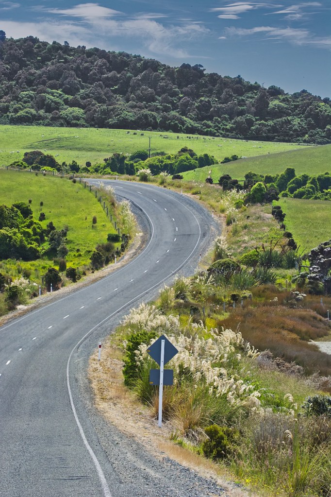 Chaslands Hwy West Curve, Catlins, NZ