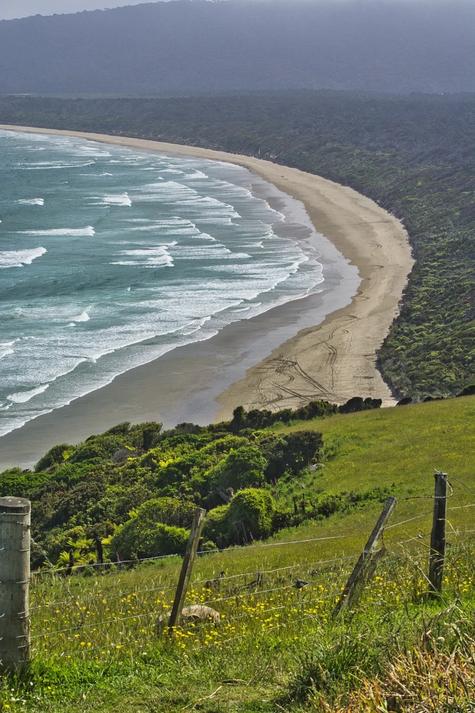 Tautuku Bay, Florence Hill Lookout, Catlins, NZ