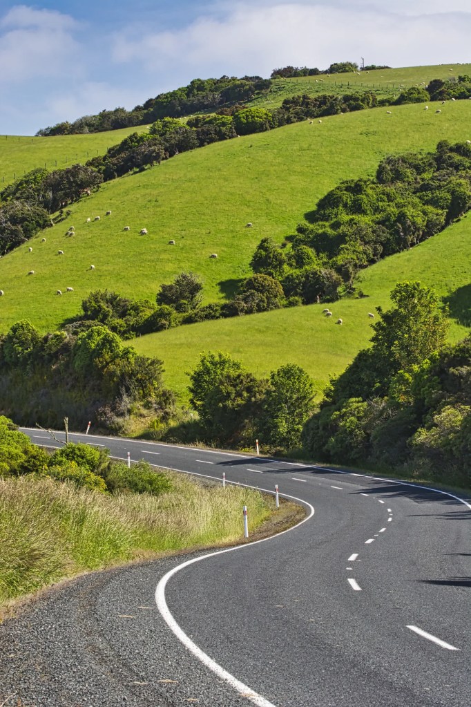 Chaslands Hwy East Curve, Catlins, NZ