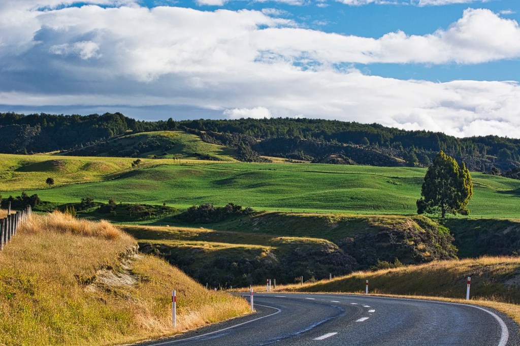 Road through Farmland, Fiordland, NZ