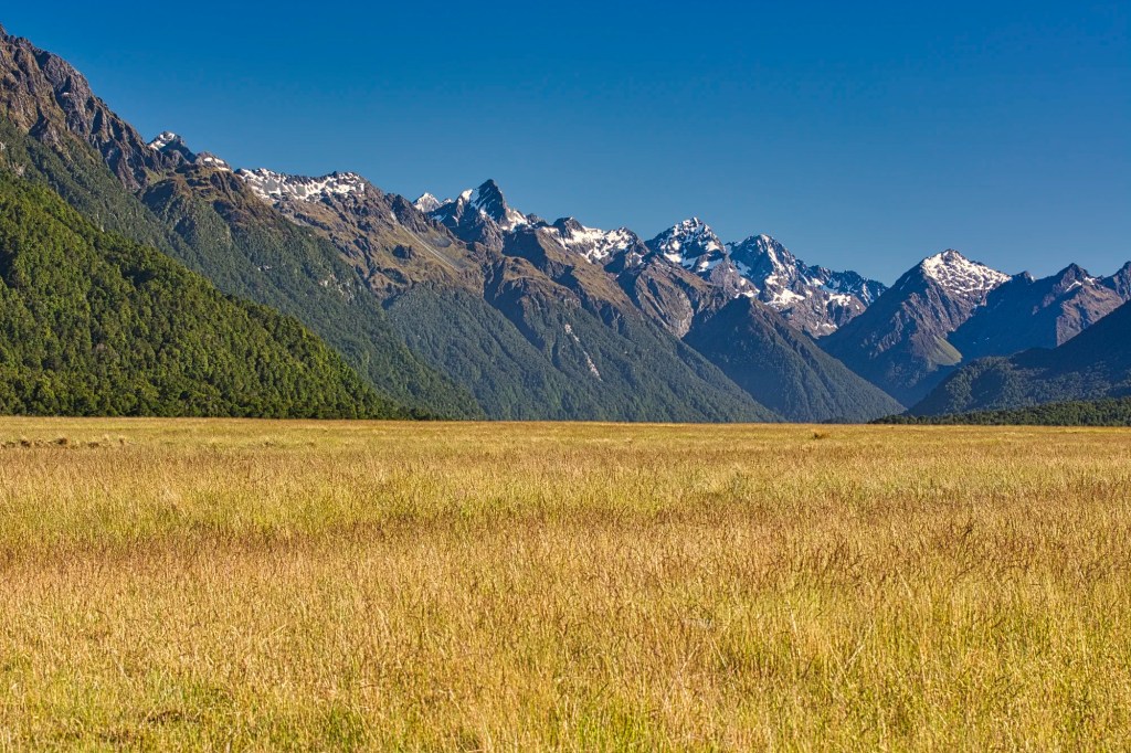 Knobs Flat Grasslands View, Fiordland, NZ