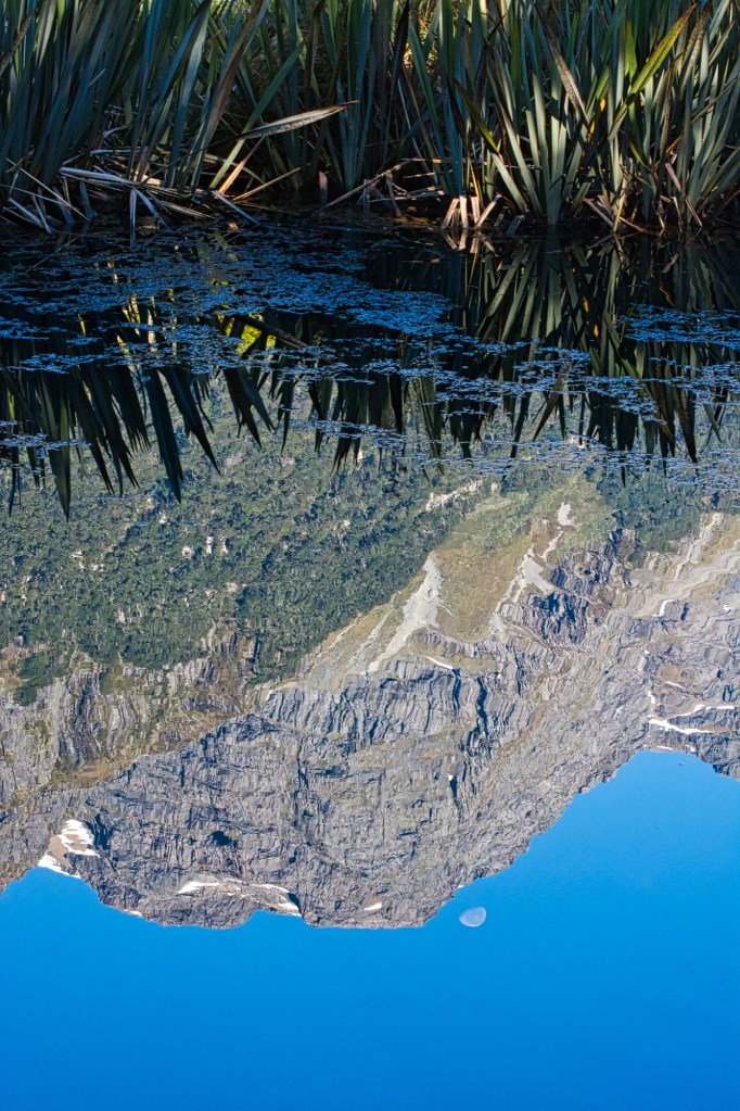 Mirror Mirror on the Lake, Fiordland, NZ