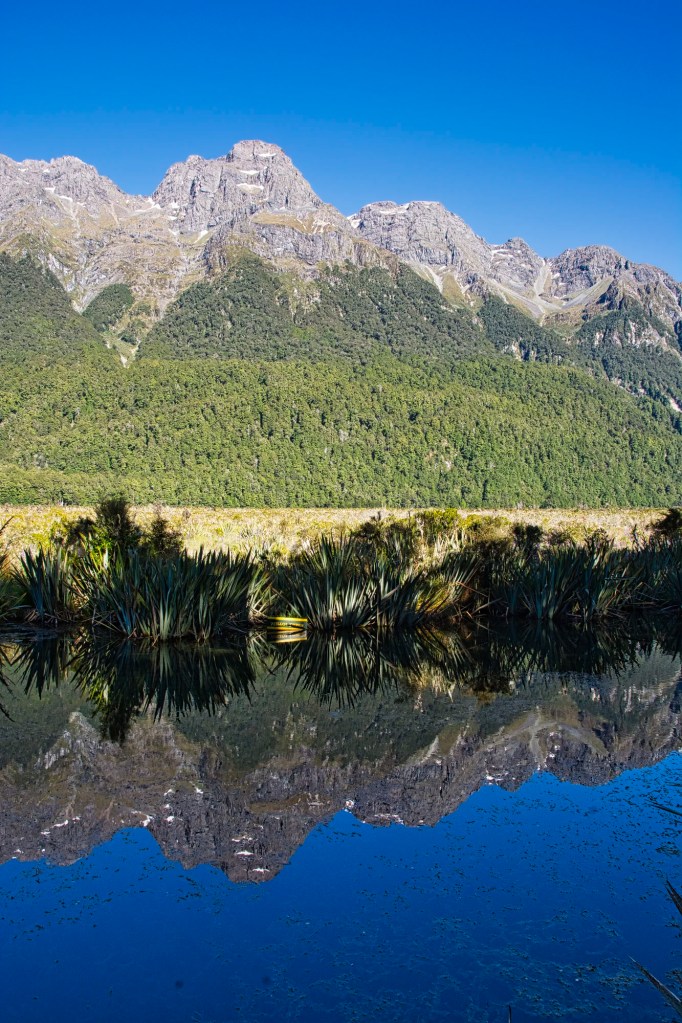 Mirror Lakes View, Fiordland, NZ