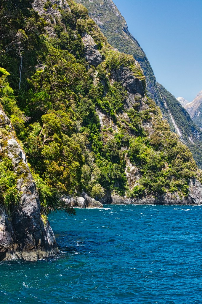 Cliffs, Milford Sound, NZ
Nikon 70-300mm f/4.5-5.6 at 105 mm