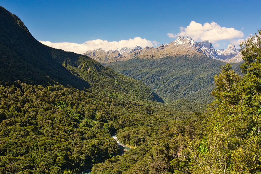 Hollyford Valley Lookout 43 mm Wide Angle View, Fiordland, NZ