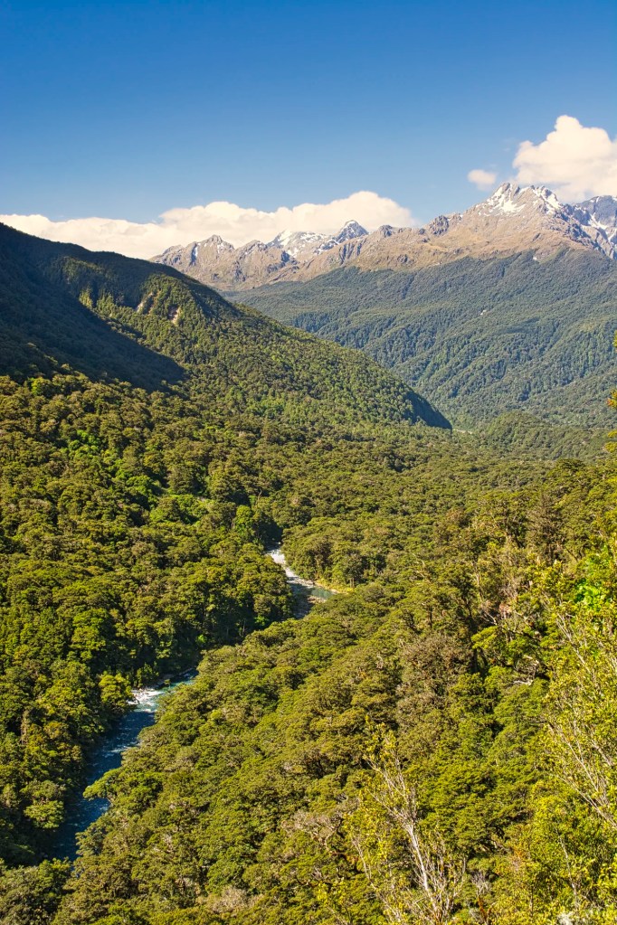 43 mm View of Routeburn Track Mountains, Fiordland, NZ