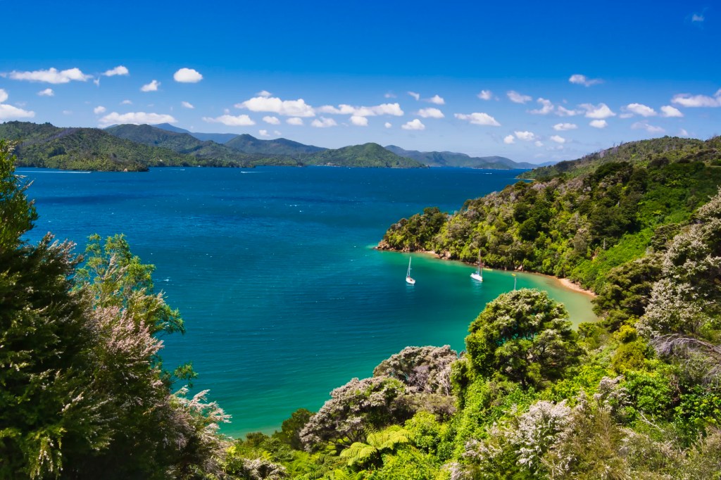 Governors Bay Marlborough Sounds, NZ