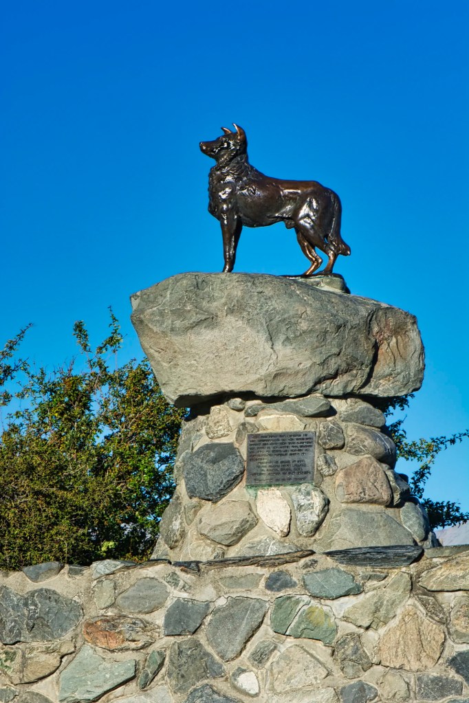NZ Sheepdog Statue, Lake Tekapo