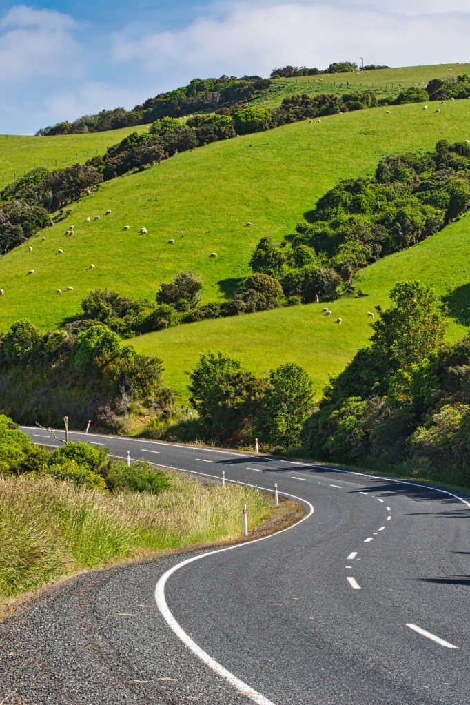 Owaka Highway, Catlins, NZ