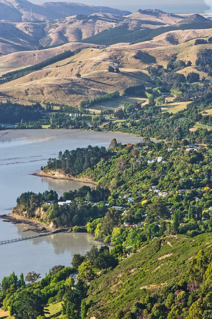 Governors Bay 157 mm, Banks Peninsula, NZ