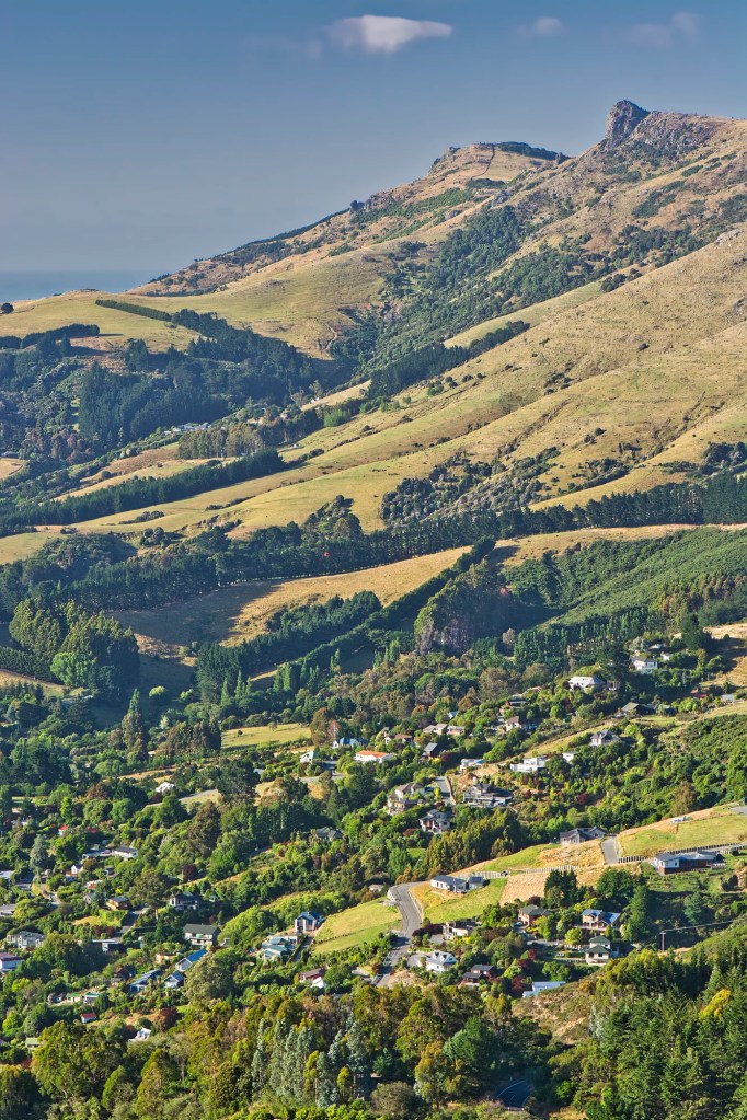 Governors Bay 157 mm, Banks Peninsula, NZ